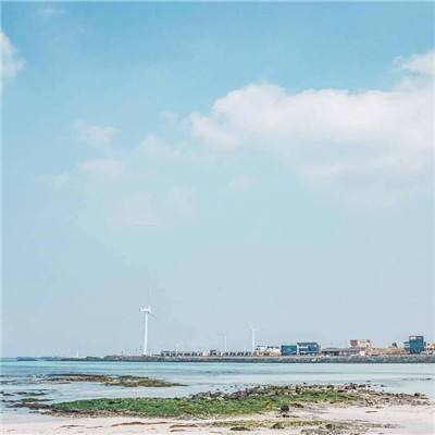 实探安徽滁河水质污染：有小龙虾养殖户称损失近万斤