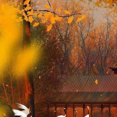 护观鸟胜地 绘美丽中国